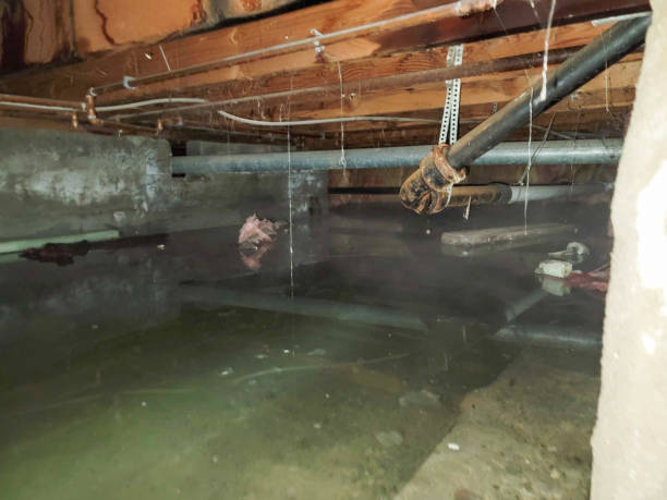 Best Basement water damage restoration  in Upper Ack, NY