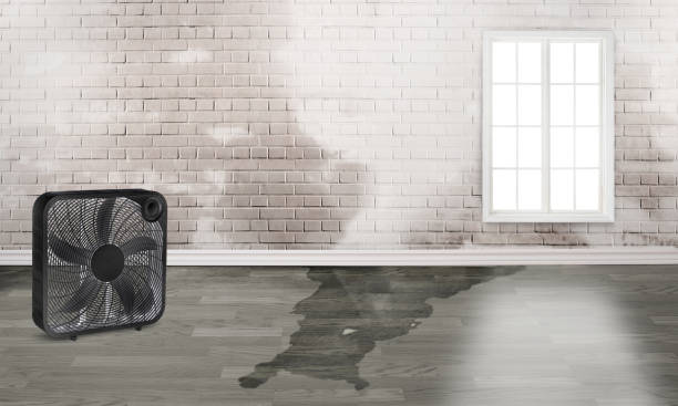 Water damage restoration process in Upper Nyack, NY