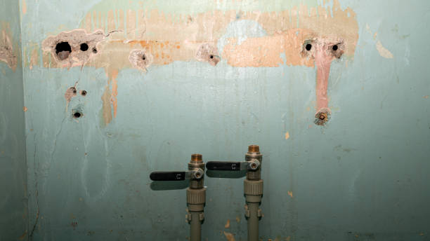 Best Sewage cleanup and water damage restoration  in Upper Ack, NY