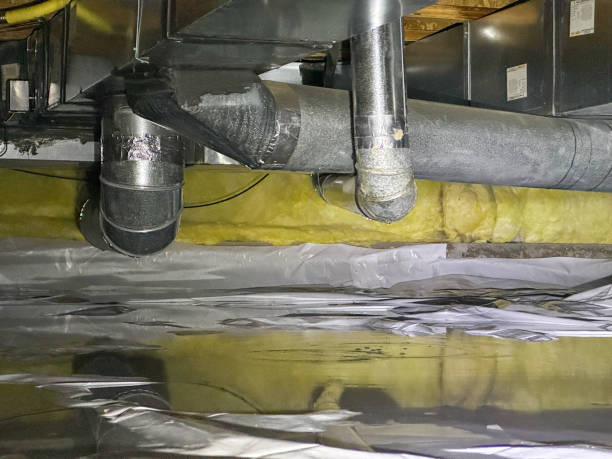 Best Water damage restoration near me  in Upper Ack, NY
