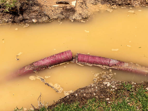 Best Water damage contractors near me  in Upper Ack, NY