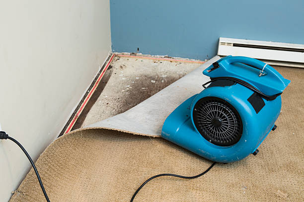 Trusted Upper Nyack, NY Water damage restoration Experts